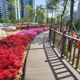 Seongnam Park Trail