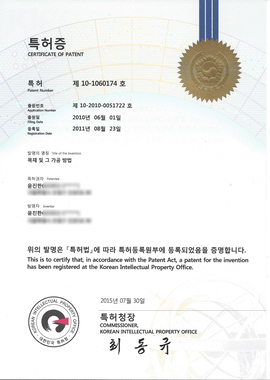 Patent Certificate [Curved Str