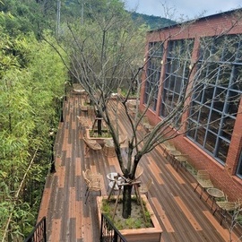 Daegu Café