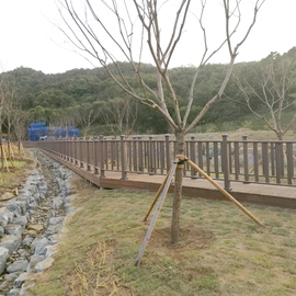 Sejong City Park